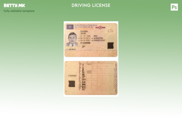 Модерен стил Lithuania dl шаблон